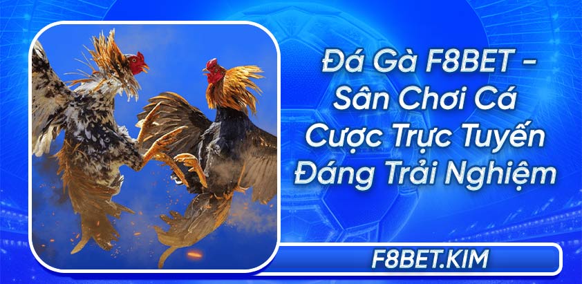 Đá Gà F8BET - Sân Chơi Cá Cược Trực Tuyến Đáng Trải Nghiệm